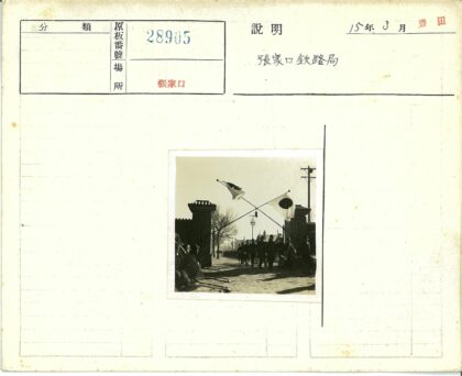 户外游行人群与交叉旗帜.jpg