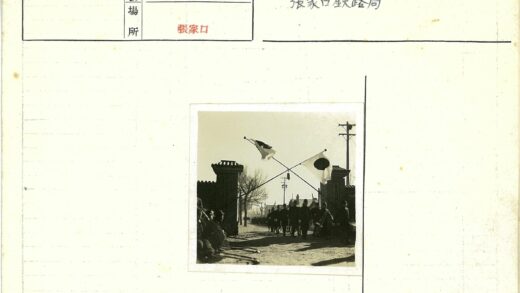 户外游行人群与交叉旗帜.jpg