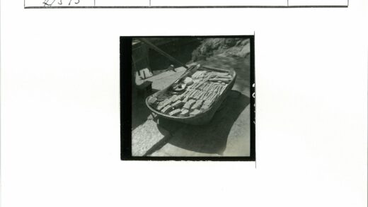 户外烘焙美食托盘与自然背景.jpg