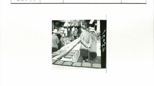 户外物品检查与谷物展示.jpg
