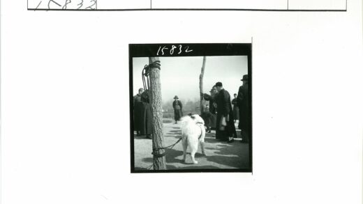 户外牵狗人与白毛犬.jpg
