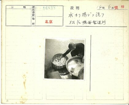 户外瓷砖地捡鸡蛋场景.jpg