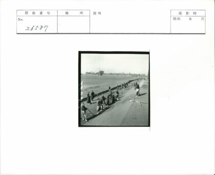 户外田野挖沟工作场景.jpg