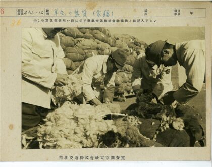 户外羊毛分装工作.jpg