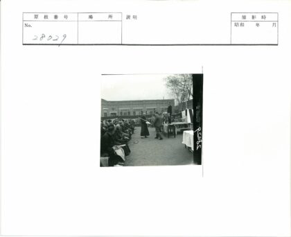 户外聚会与稀疏树林背景.jpg