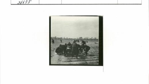 户外聚会与自然田野.jpg