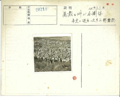 户外聚会与蕨类自然风光.jpg
