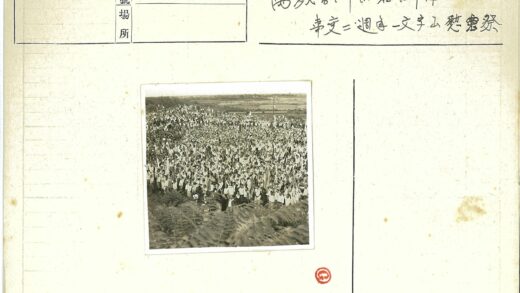 户外聚会与蕨类自然风光.jpg