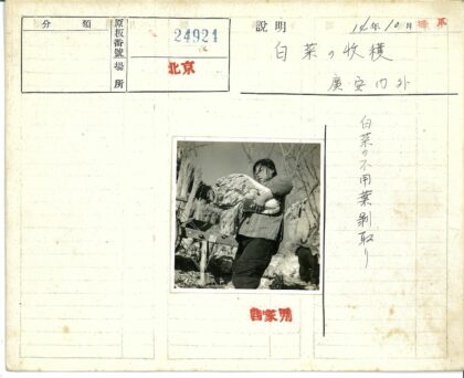 户外背绿叶蔬菜的人.jpg