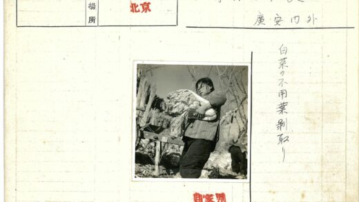 户外背绿叶蔬菜的人.jpg