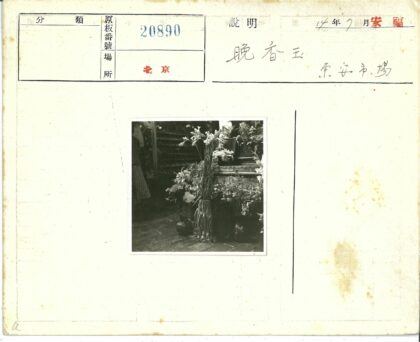 户外花摊鹅卵石地板花卉展示.jpg