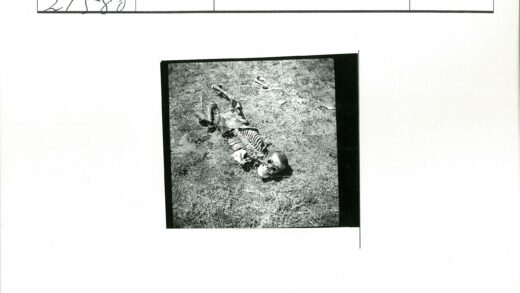 户外草地散落骨架遗骸.jpg