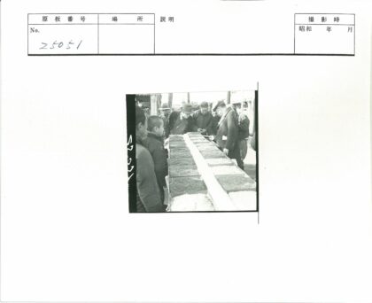 户外谷物检查工作现场.jpg