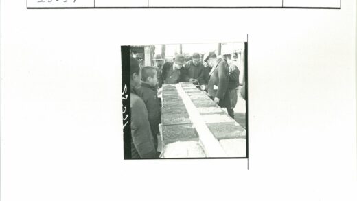 户外谷物检查工作现场.jpg