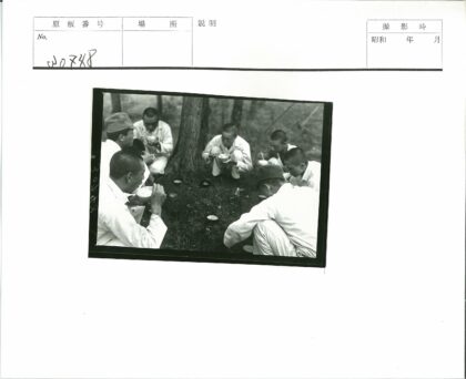 户外野餐树下用筷子.jpg