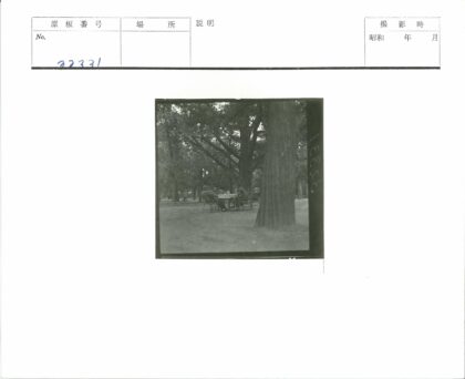 户外野餐聚会自然风光.jpg