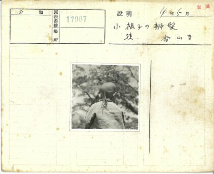 户外长辫男子浅色衬衫肖像.jpg