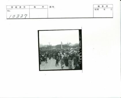 户外集会人群与旗帜场景.jpg
