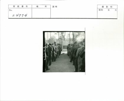 户外集体合影树林背景.jpg