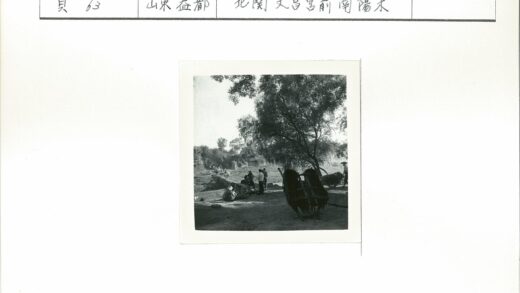 户外马车聚会人与动物.jpg
