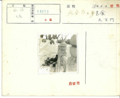 手写文字印刷数字邮票文档.jpg