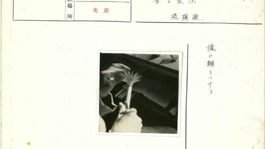 手工制作棕榈叶桌艺.jpg