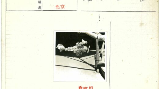 手工羽毛翅膀模型飞机特写.jpg