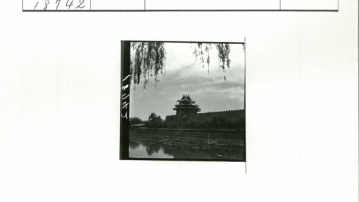 护城河畔高塔与垂枝云空.jpg