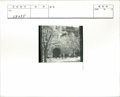 拱形建筑前树荫下的黄包车.jpg