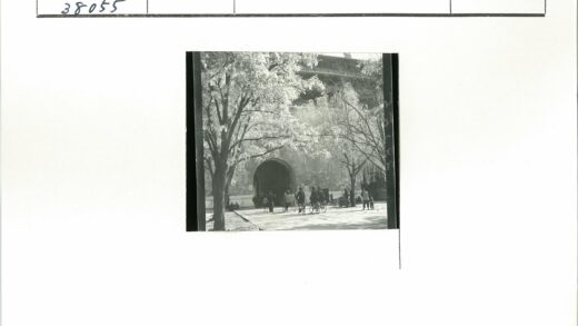 拱形建筑前树荫下的黄包车.jpg