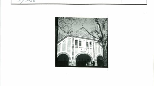 拱形石瓦建筑与枯树.jpg