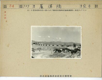 拱桥旁马群与远山风景.jpg