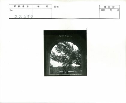 拱窗古树与建筑森林景观.jpg