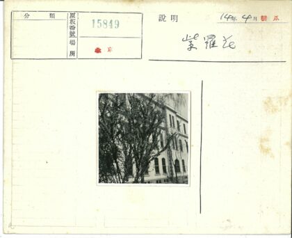 拱窗建筑前茂密大树.jpg