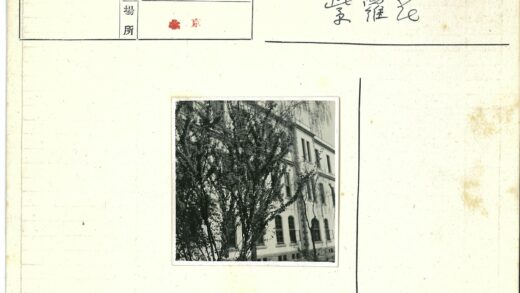 拱窗建筑前茂密大树.jpg
