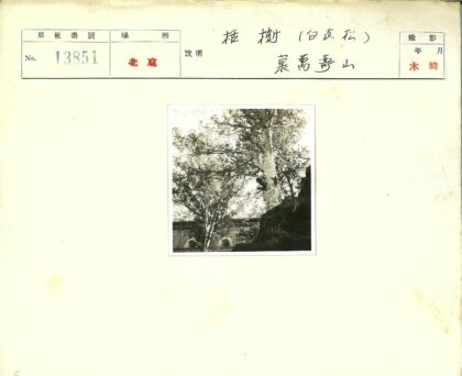 拱窗建筑前茂密树影.jpg