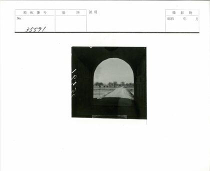 拱门土路通向田野与树林.jpg