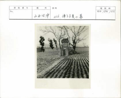 拱门孤树田园风光.jpg