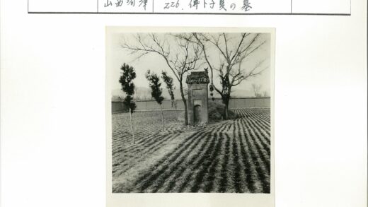 拱门孤树田园风光.jpg