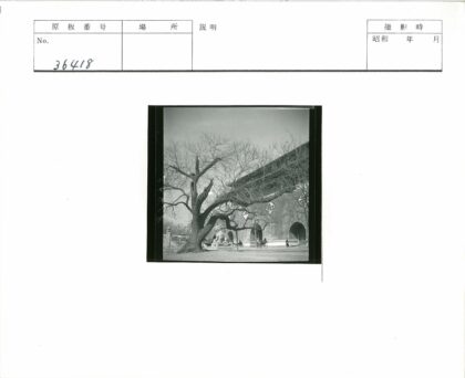 拱门建筑前狮子雕像与枯树.jpg