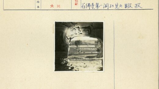 拱门远眺牧野树林.jpg