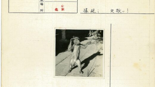 持棍站立的猴子链子特写.jpg