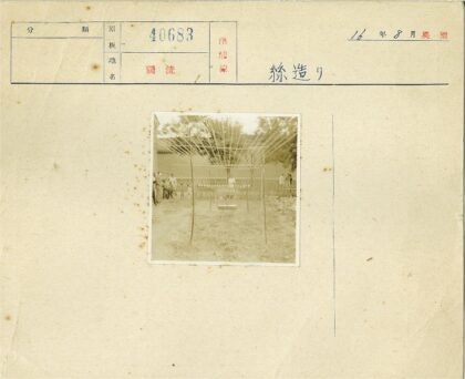 探索野外杆绳结构的团队.jpg