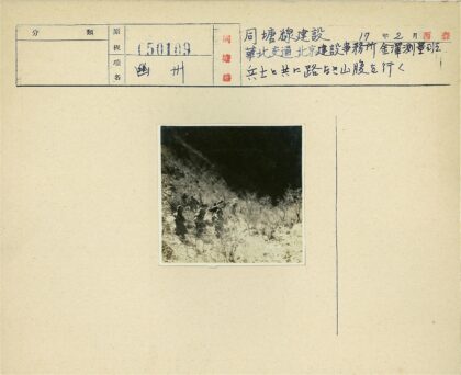 探险队穿越茂密山林.jpg