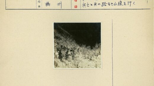 探险队穿越茂密山林.jpg