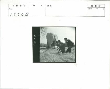 摄影师与助手记录石雕大象.jpg