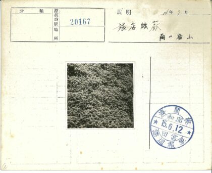 摊开花生老照片丰收场景.jpg