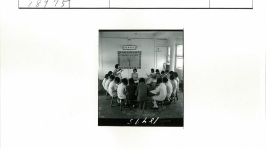 教室读书与树木横幅展示.jpg