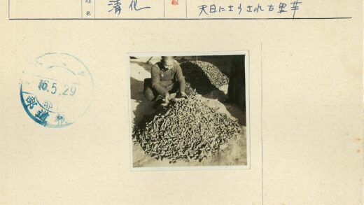 整理干蔬菜堆工作场景.jpg