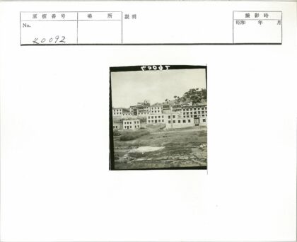 斜坡上的多层建筑与树木.jpg
